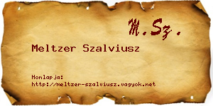 Meltzer Szalviusz névjegykártya